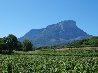 Cave des Chapelles — Fabrice Pariat